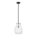 Z-Lite Bella Matte Black Brushed Nickel Mini-Pendant 476P-ROD-MB-BN | theLightShop
