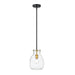 Z-Lite Bella Matte Black Olde Brass Mini-Pendant 476MP-ROD-MB-OBR | theLightShop
