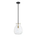 Z-Lite Bella Matte Black Olde Brass Mini-Pendant 476P-ROD-MB-OBR | theLightShop