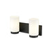 Z-Lite Burk Vanity Matte Black 2 Light 746-2V-MB | theLightShop