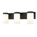 Z-Lite Burk Vanity Matte Black 3 Light 746-3V-MB | theLightShop