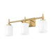 Z-Lite Cadoc Vanity Modern Gold 3 Light 622-3V-MGLD | theLightShop