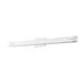 Z-Lite Chase Vanity Chrome LED 1 Light 43 Inch 4100-43W-CH-LED | theLightShop