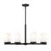Z-Lite Danica Chandelier Matte Black 8 Light 3044-8MB | theLightShop