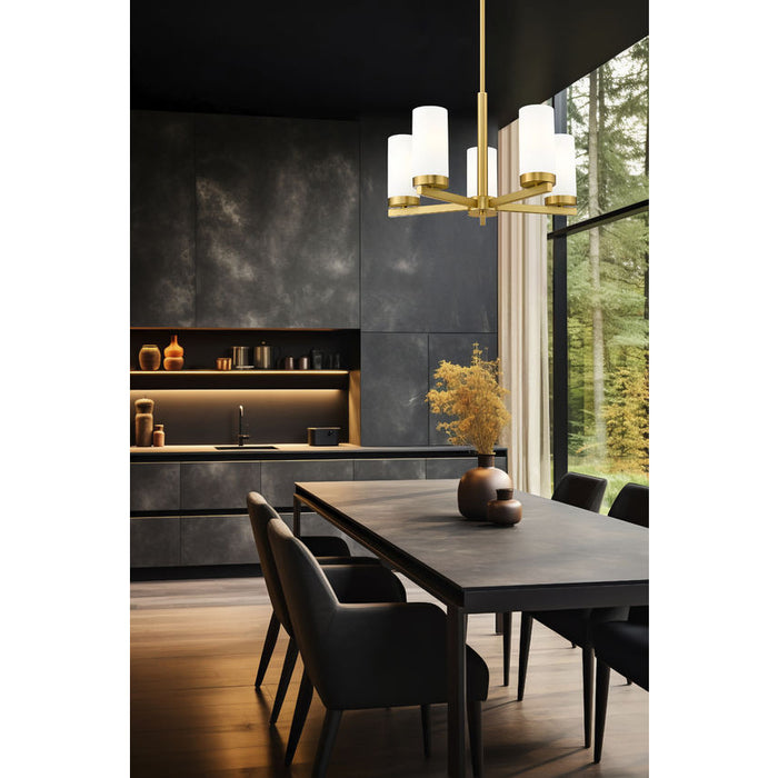 Z-Lite Danica Chandelier Modern Gold 5 Light 3044-5MGLD | theLightShop
