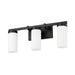 Z-Lite Danica Vanity Matte Black 3 Light 3044-3V-MB | theLightShop