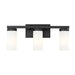 Z-Lite Danica Vanity Matte Black 3 Light 3044-3V-MB | theLightShop