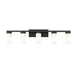Z-Lite Danica Vanity Matte Black 5 Light 3044-5V-MB | theLightShop