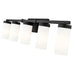 Z-Lite Danica Vanity Matte Black 5 Light 3044-5V-MB | theLightShop