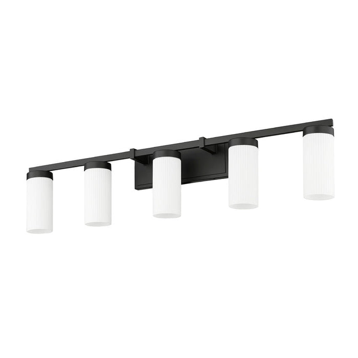 Z-Lite Danica Vanity Matte Black 5 Light 3044-5V-MB | theLightShop