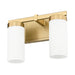 Z-Lite Danica Vanity Modern Gold 2 Light 3044-2V-MGLD | theLightShop