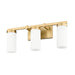 Z-Lite Danica Vanity Modern Gold 3 Light 3044-3V-MGLD | theLightShop