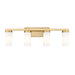 Z-Lite Danica Vanity Modern Gold 4 Light 3044-4V-MGLD | theLightShop