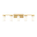 Z-Lite Danica Vanity Modern Gold 5 Light 3044-5V-MGLD | theLightShop