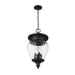 Z-Lite Davina Outdoor Pendant Black 4 Light 5016CHB-BK | theLightShop