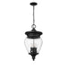 Z-Lite Davina Outdoor Pendant Black 4 Light 5016CHB-BK | theLightShop