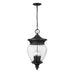 Z-Lite Davina Outdoor Pendant Black 4 Light 5016CHB-BK | theLightShop