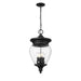 Z-Lite Davina Outdoor Pendant Black 4 Light 5016CHB-BK | theLightShop