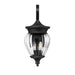 Z-Lite Davina Outdoor Wall Sconce Black 3 Light 5016M-BK | theLightShop