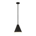 Z-Lite Eaton Matte Black 1 Light Pendant 6011P12-MB | theLightShop