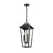 Z-Lite Gannon Outdoor Pendant Black 3 Light 5008CHB-BK | theLightShop