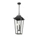 Z-Lite Gannon Outdoor Pendant Black 3 Light 5008CHXL-BK | theLightShop