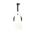 Z-Lite Julia Swing-Arm Wall Lamp Matte Black 1 Light 350S-MB | theLightShop