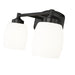 Z-Lite Kendrick Vanity Matte Black 2 Light 745-2V-MB | theLightShop