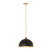 Z-Lite Landry Matte Black Rubbed Brass 1 Light Pendant 1004P14-MB-RB | theLightShop