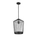 Z-Lite Lido Matte Black 1 Light Pendant 342P13-MB | theLightShop