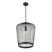 Z-Lite Lido Matte Black 1 Light Pendant 342P19-MB | theLightShop