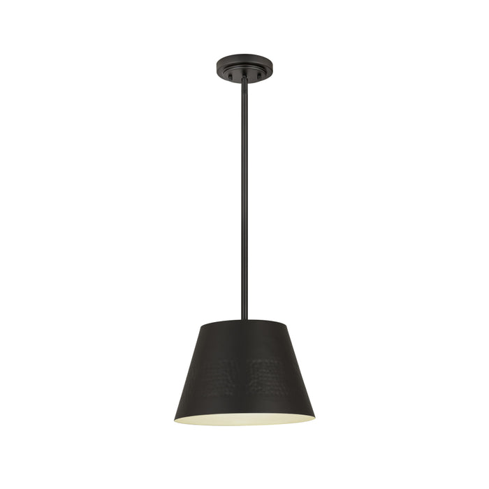 Z-Lite Maddox Matte Black 1 Light Chandelier 6013-12MB | theLightShop