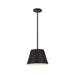 Z-Lite Maddox Matte Black 1 Light Chandelier 6013-12MB | theLightShop