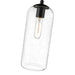 Z-Lite Monty Matte Black 1 Light Pendant 738P17-MB | theLightShop