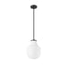 Z-Lite Newbury Pendant Matte Black 1 Light 10 Inch 7510P10-MB | theLightShop