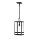 Z-Lite Nuri Black 1 Light Outdoor Chain Mount Ceiling Fixture 596CHM-BK | theLightShop