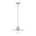 Z-Lite Paloma Brushed Nickel 1 Light Pendant 821P14-BN | theLightShop