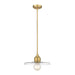 Z-Lite Paloma Olde Brass 1 Light Pendant 821P14-OBR | theLightShop