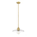 Z-Lite Paloma Olde Brass 1 Light Pendant 821P14-OBR | theLightShop