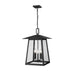 Z-Lite Rainer Outdoor Pendant Black 5 Light 5015CHXL-BK | theLightShop