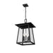 Z-Lite Rainer Outdoor Pendant Black 5 Light 5015CHXL-BK | theLightShop