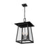 Z-Lite Rainer Outdoor Pendant Black 5 Light 5015CHXL-BK | theLightShop