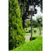 Z-Lite Rainer Outdoor Post Mounted Fixture Black 4 Light 5015PHBR-5011P-BK | theLightShop