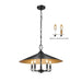 Z-Lite Rialto 5 Light Chandelier - Matte Black