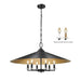 Z-Lite Rialto 6 Light Chandelier - Matte Black