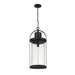 Z-Lite Roundhouse Black Outdoor Chain Mount Ceiling Fixture 569CHXL-BK - Outdoor Pendants