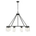 Z-Lite Titus Chandelier Matte Black 10 Light 826-10MB | theLightShop