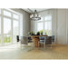 Z-Lite Titus Chandelier Matte Black 8 Light 826-8MB | theLightShop