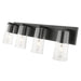 Z-Lite Titus Vanity Matte Black 4 Light 826-4V-MB | theLightShop
