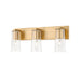 Z-Lite Titus Vanity Modern Gold 3 Light 826-3V-MGLD | theLightShop